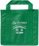 091024greenbag