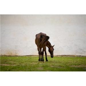 Some consignment shops starve before they learn.