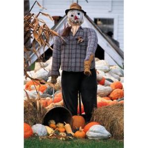 Decorating for fall in your shop