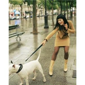 A catchy headline catches customers.