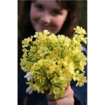 Say "I'm sorry" with a gift