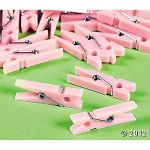 120407orientaltrading Pastel clothespins to display the carded earrings!