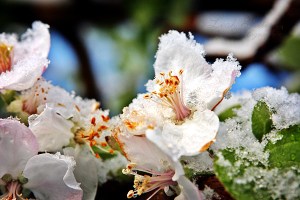 Earth Day and Resale