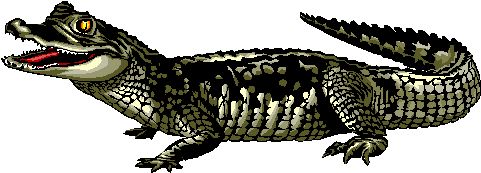 Don't eat eaten alive with less-than-optimal business practices. Learn more at TGTbT.com