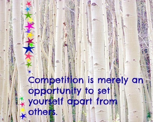 competition birches Competition is good for all businesses but especially for consignment, thrift and resale shops.