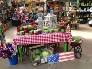 Patriotic and summery swing shop from TGtbT.com