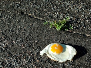 Hot enough to fry an egg on the sidewalk? A creative consignment solution from TGtbT.com