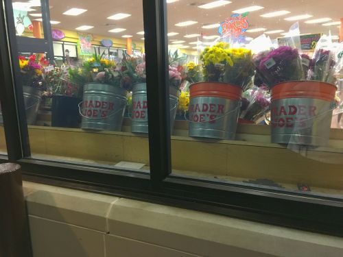 TGtbT.com example of Learning a Lot